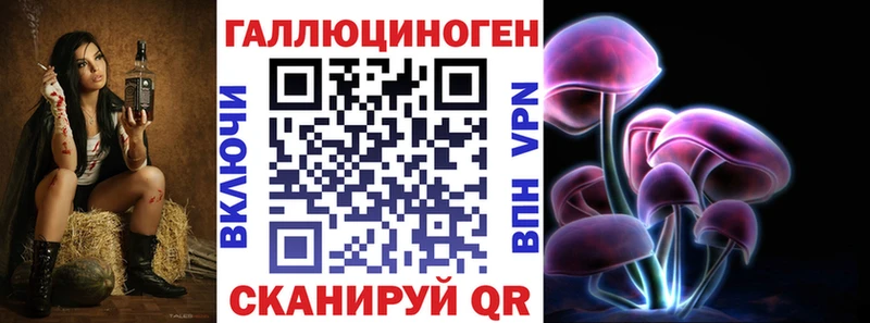 блэк спрут маркетплейс  магазин продажи   Сковородино  Псилоцибиновые грибы мицелий 